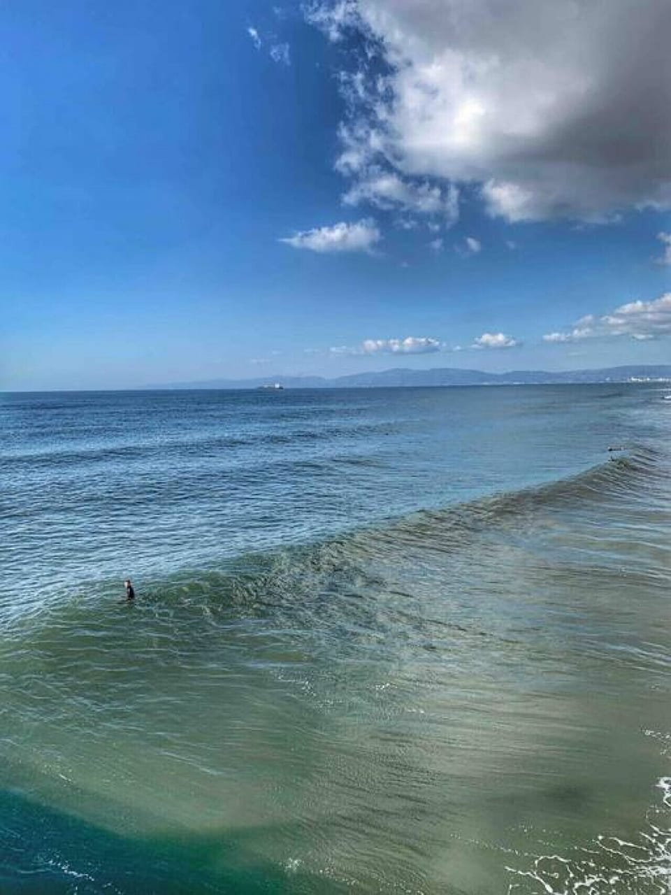 Manhattan Beach view.