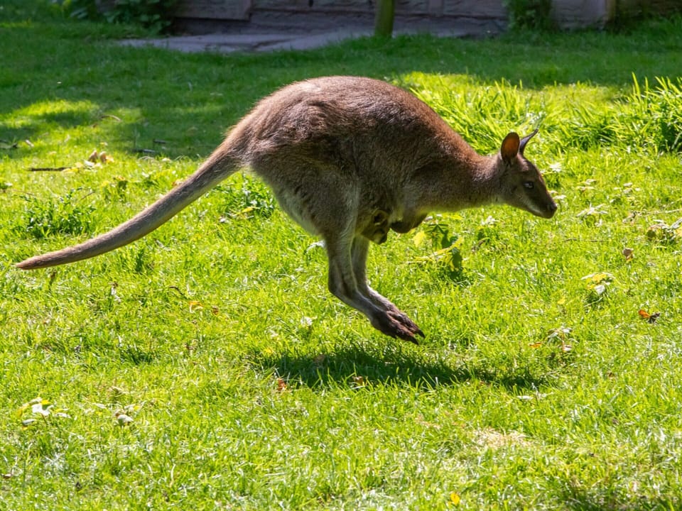 Apartment | Interior detail
