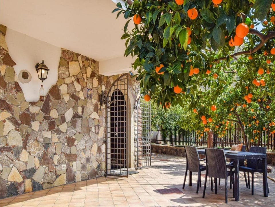 House | Outdoor dining