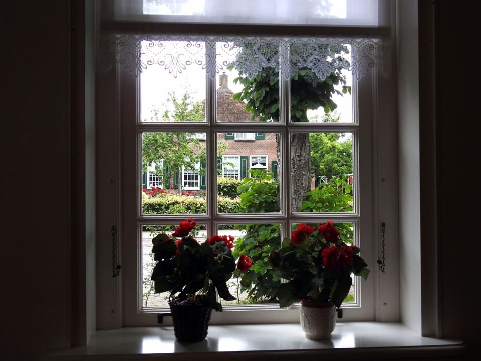 House | View from property