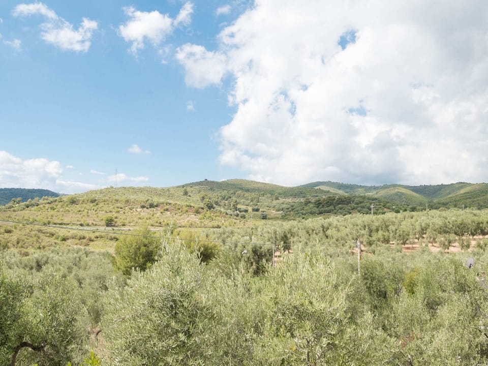 Apartment | View from property