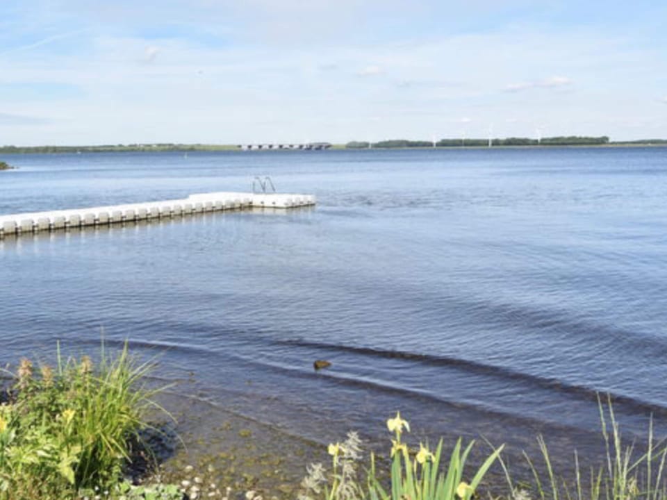 House | View from property