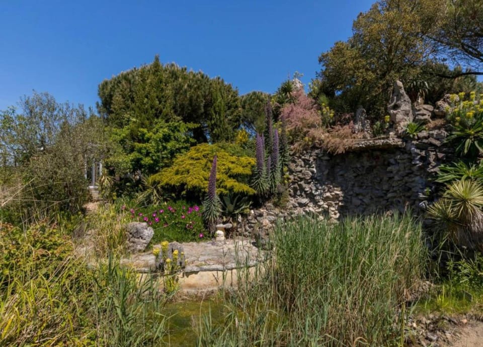 House | View from property