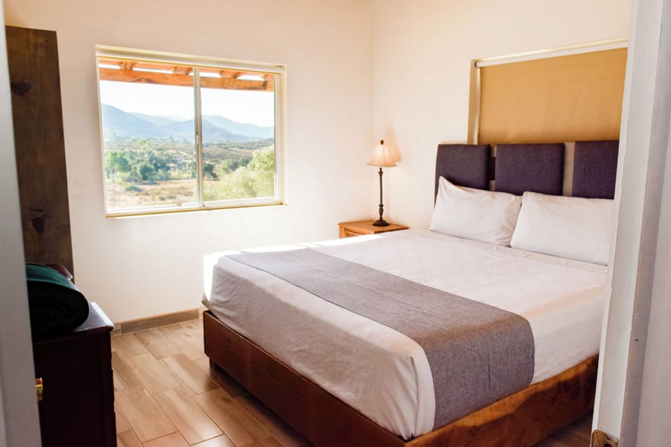 Family House | Vineyard view