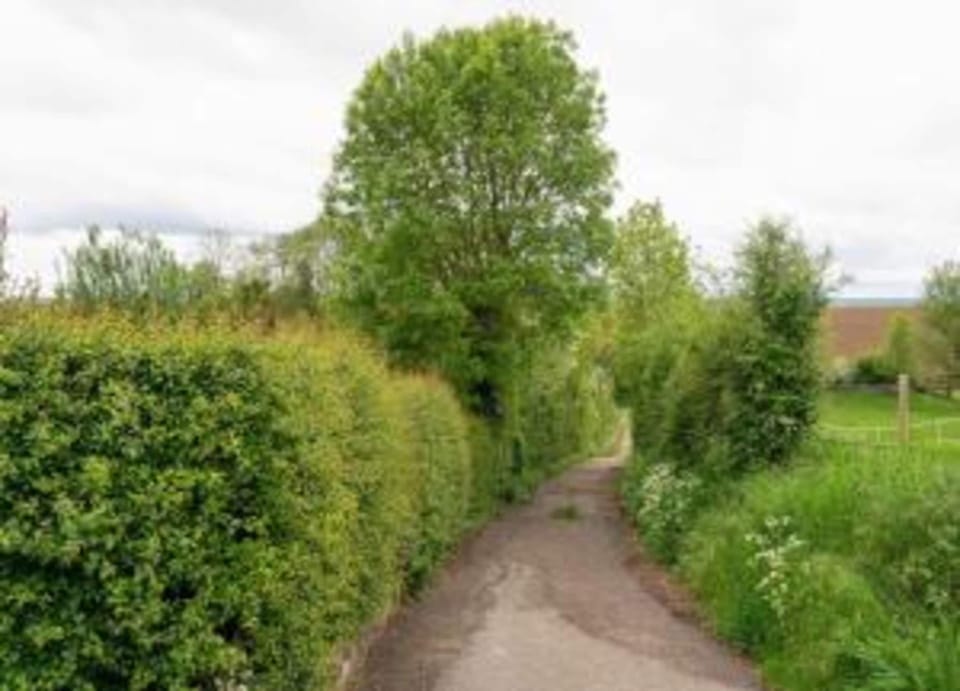 Cottage | View from property