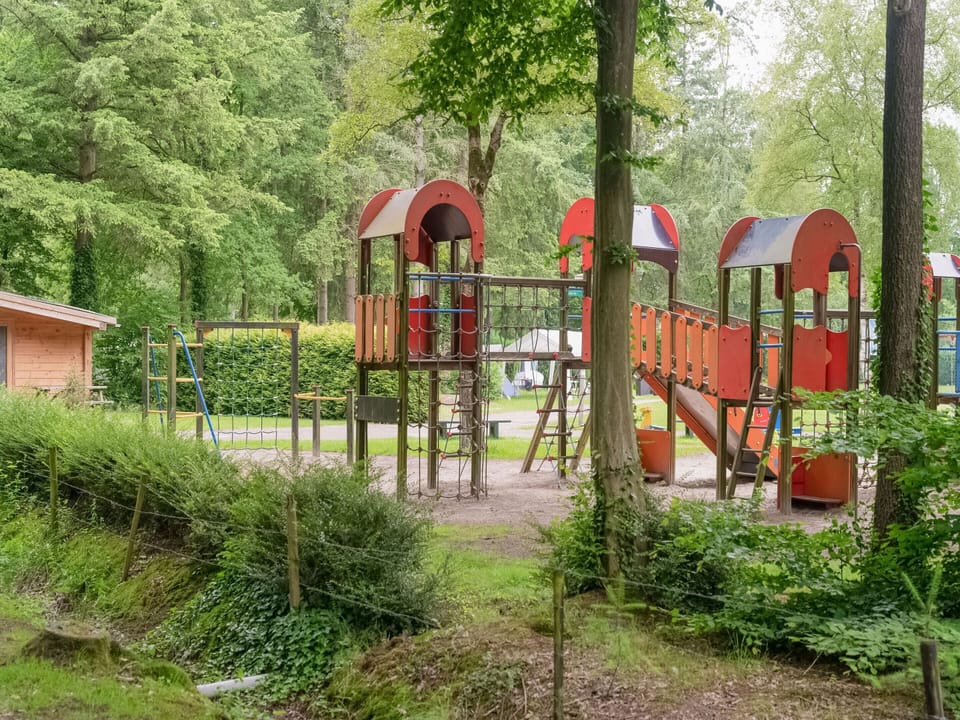 Chalet in the Woods With Pool House in Drenthe (province)