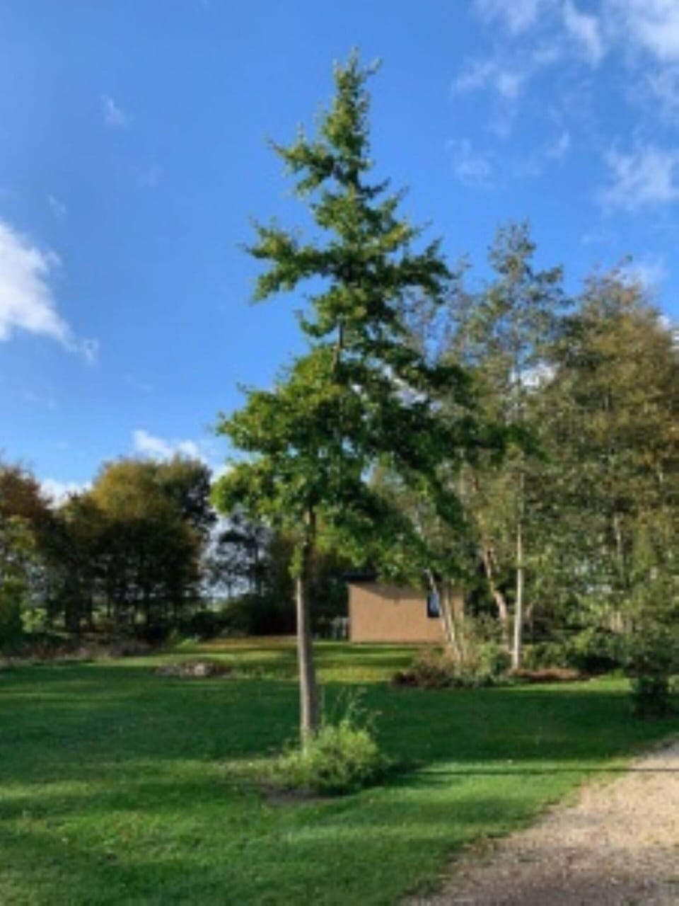 House | View from property