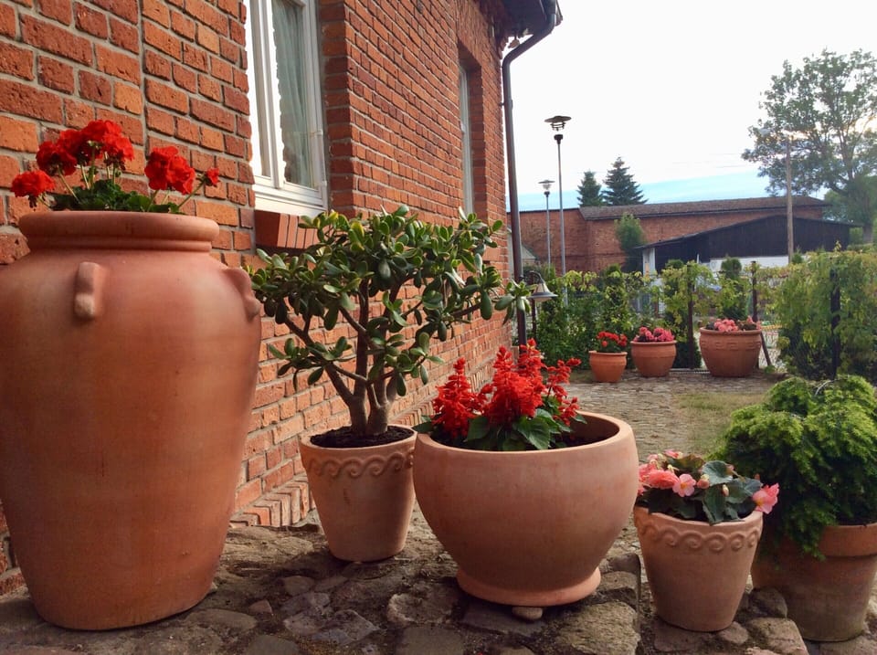 House | Garden