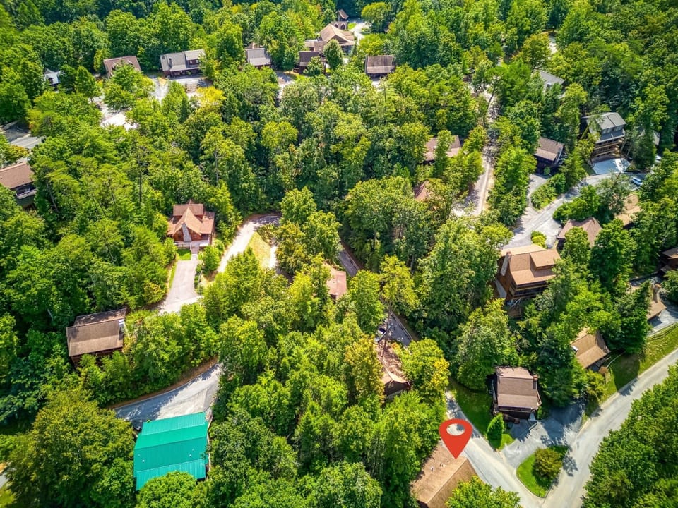 Cabin, 4 Bedrooms | Aerial view