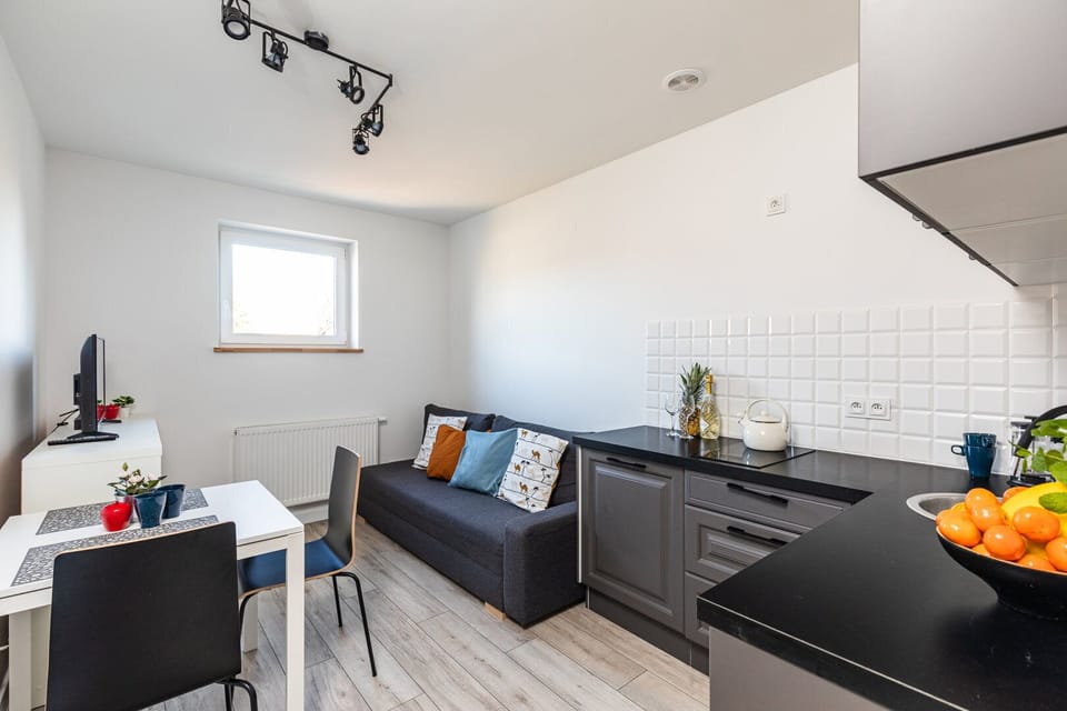 Comfort Apartment | Individually decorated, individually furnished, iron/ironing board