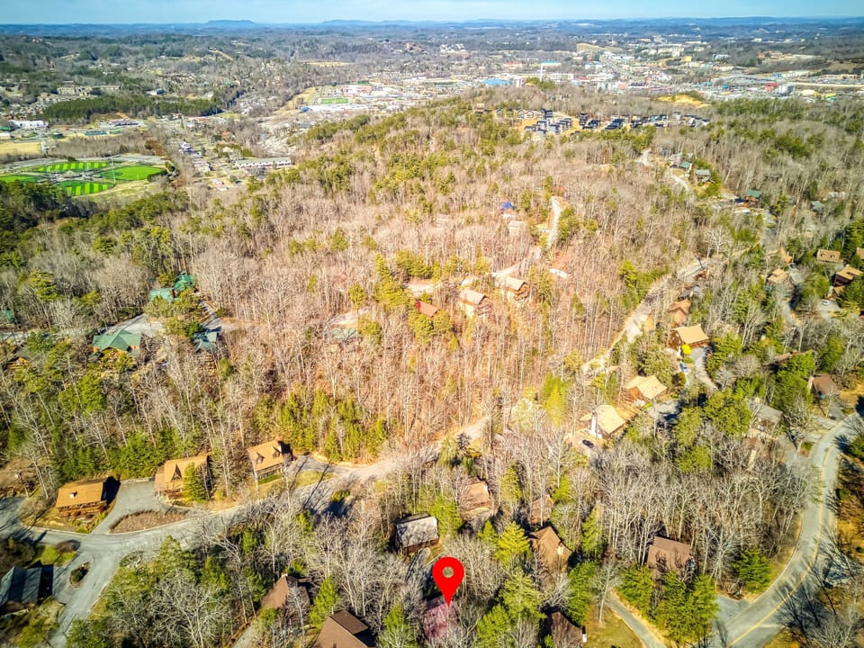 Cabin, 1 Bedroom | Aerial view