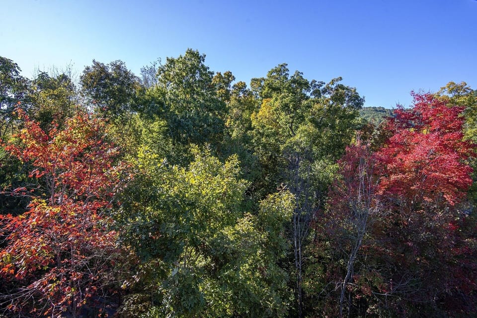 Cabin, 2 Bedrooms | View from property