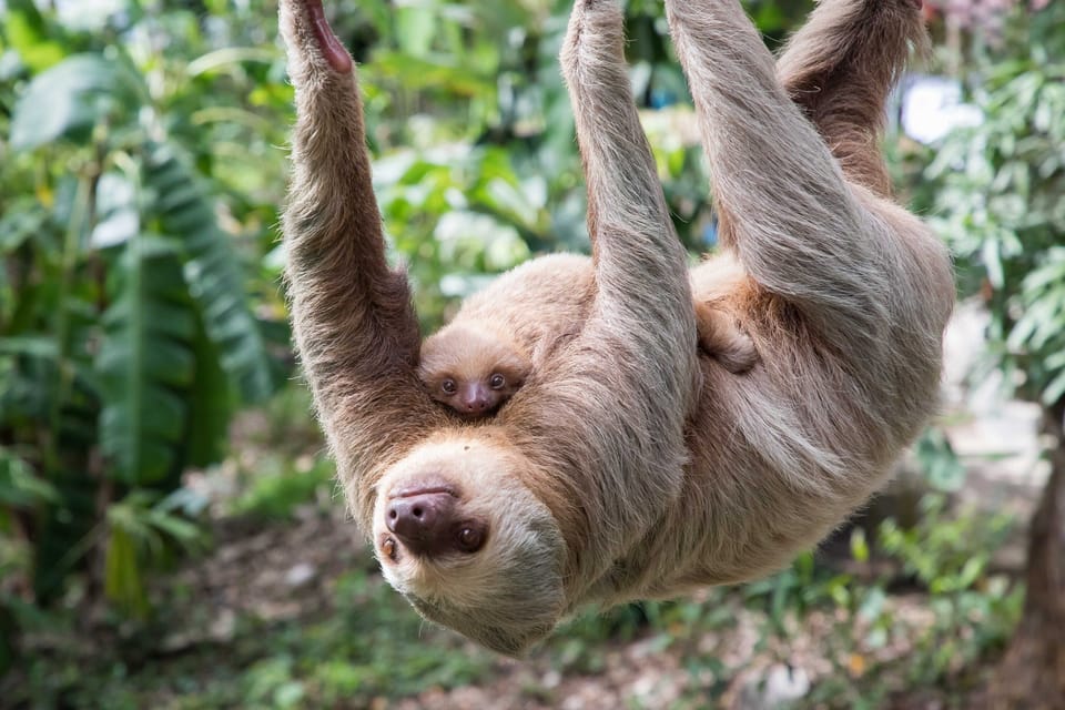 Manuel Antonio National Park 