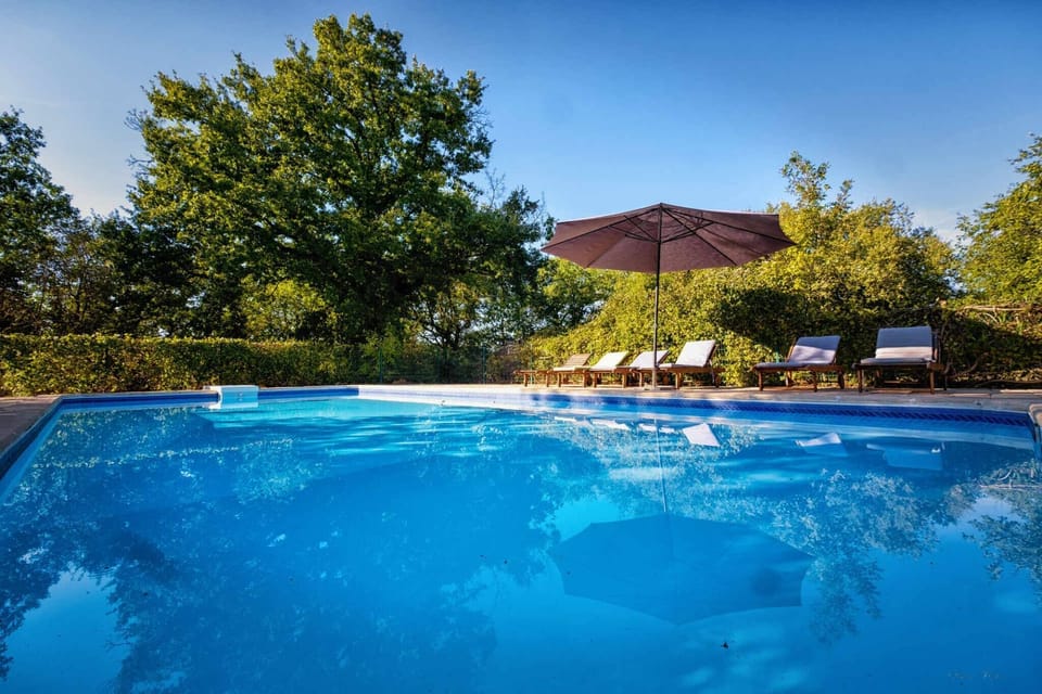 12x5m swimming pool - sun loungers and parasols - 2 hectares of grounds planted with trees - covered terrace with outdoor kitchen + garden furniture - 1 outdoor table - 1 private car park.