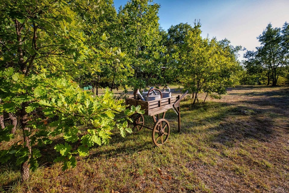 Large terrace with garden furniture and outdoor table - Large wooded grounds - Garden furniture amongst the oak trees - Private parking on the property - Inflatable spa available from April to October.