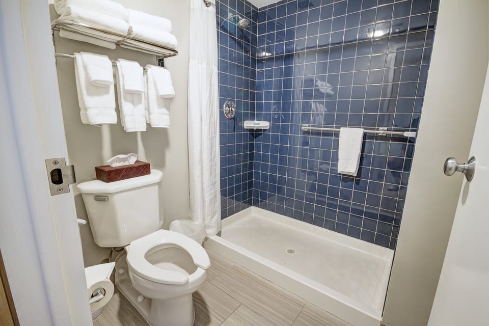 1 Bedroom Suite