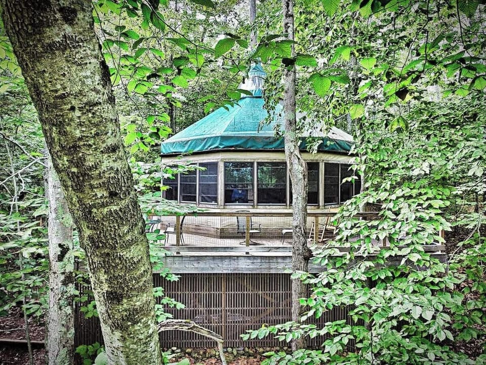 Treehouse quiet hits different.