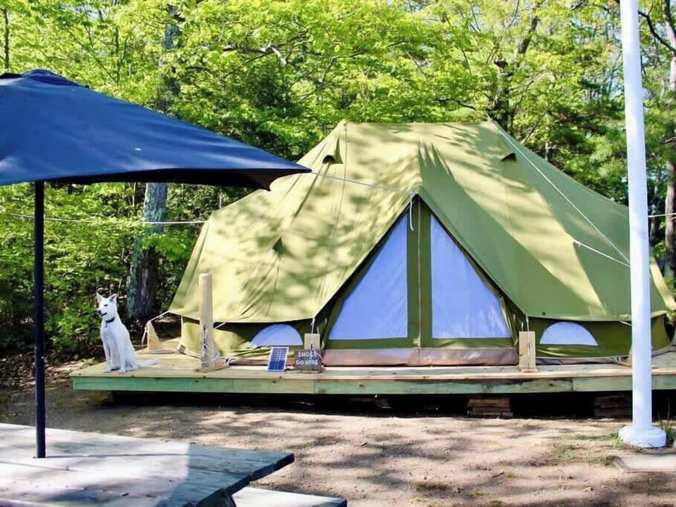 Plenty of space inside. Yes, really.