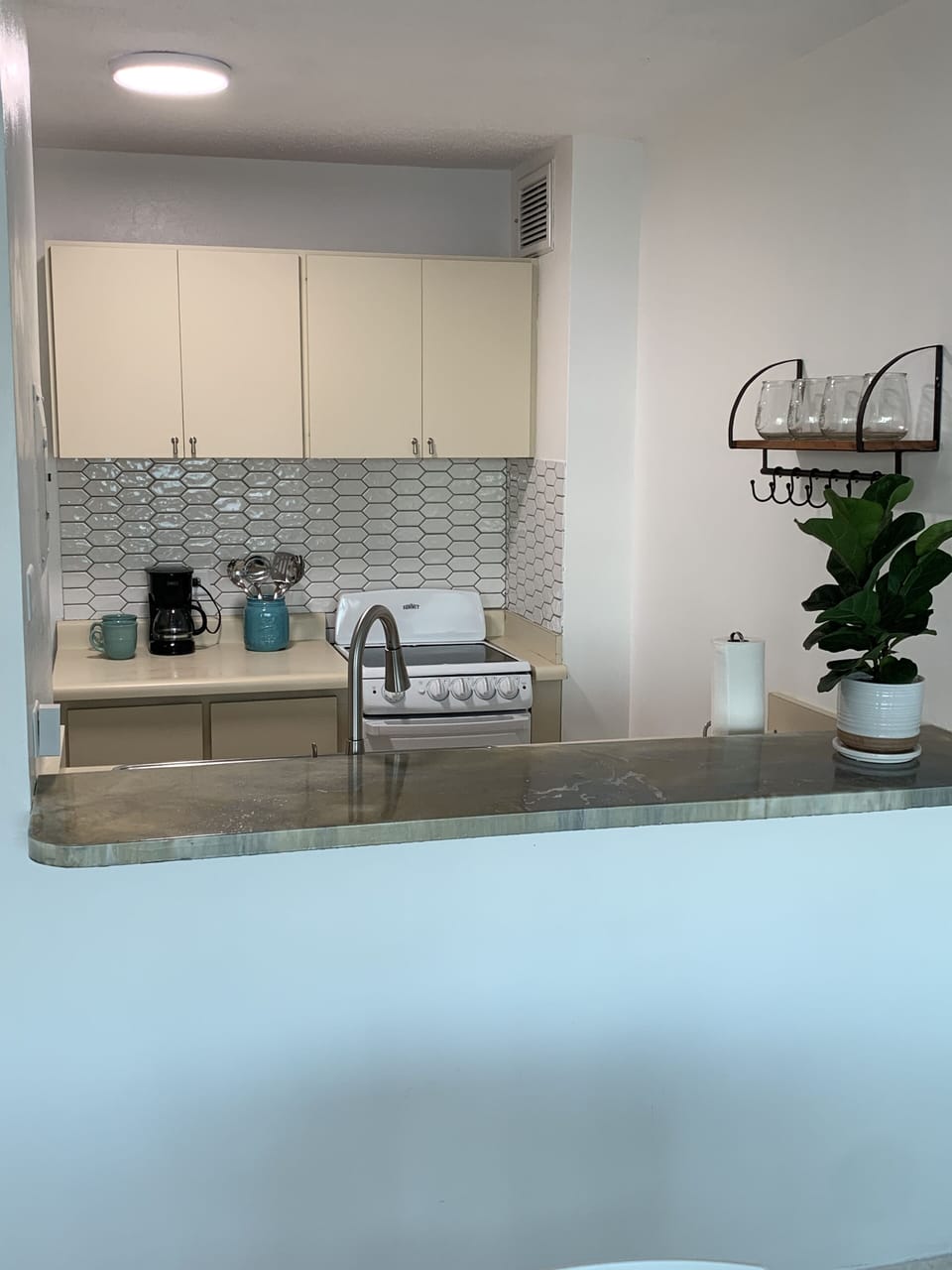 Full Kitchen (Microwave, Coffee Maker) 