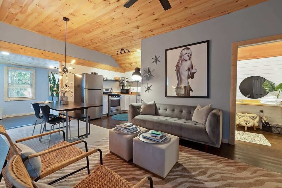 Bright Modern Living Room with Vaulted Wood Ceilings