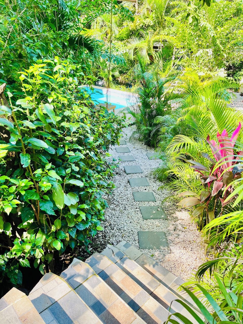 Path to the pool
