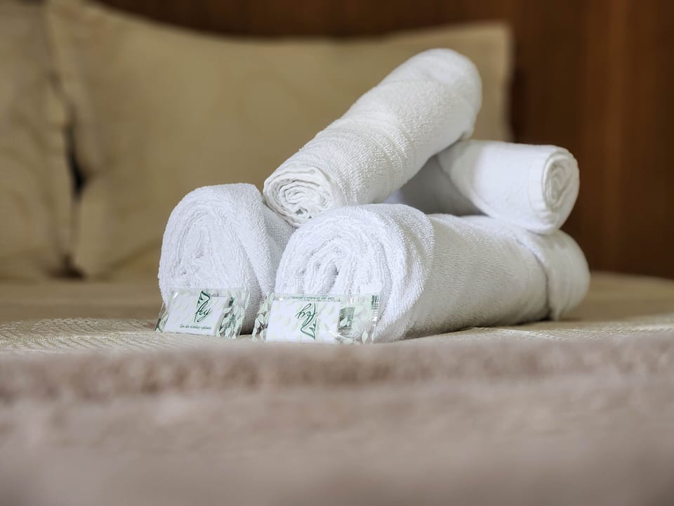 Superior Twin Room | Iron/ironing board, free WiFi