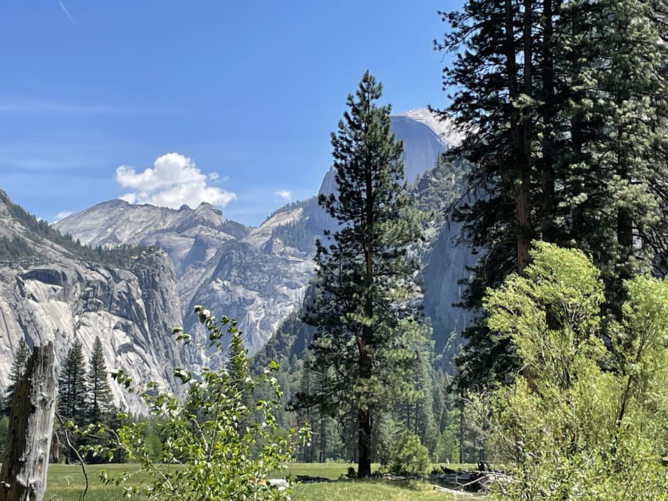 Yosemite National Park(65 minute drive).