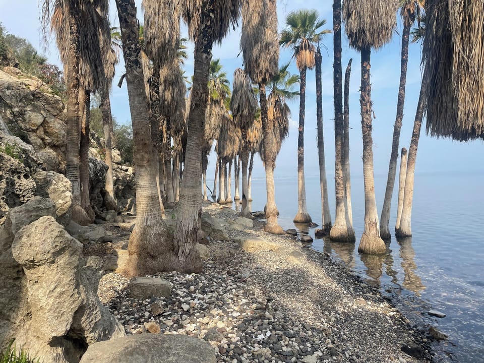 Kineret shore line nearby