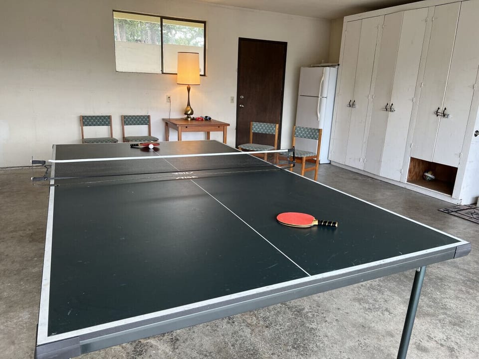 Ping Pong table and outdoor games in garage