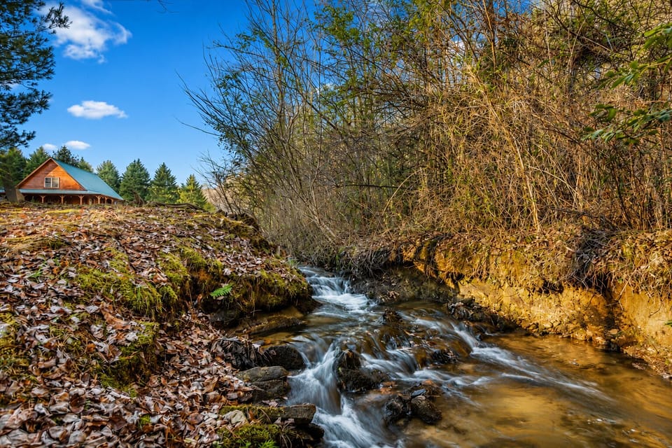 Experience tranquility by the creek side near the cabin