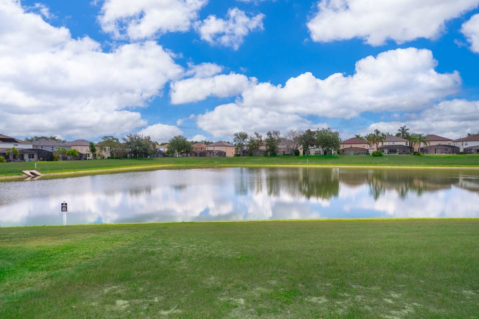 Pond View