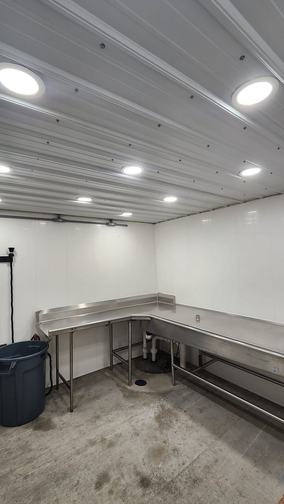 Bird Cleaning Room