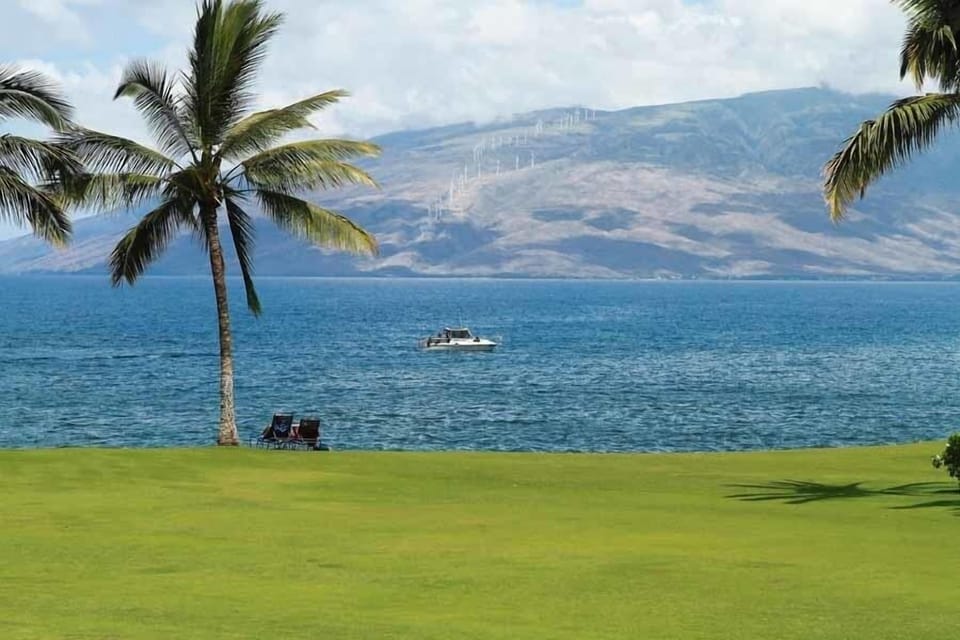 Condo, 1 Bedroom | Golf