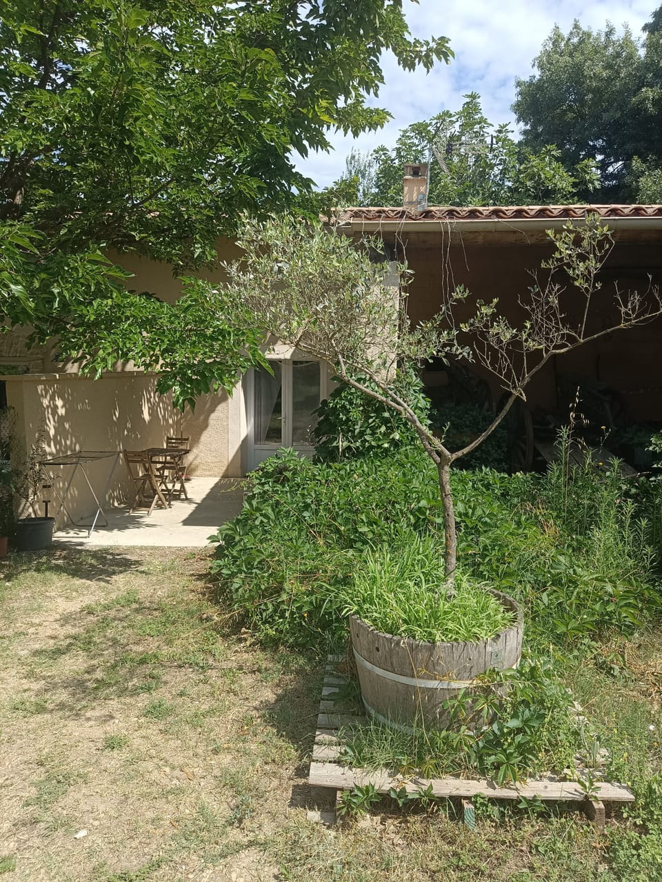 Terrace/patio