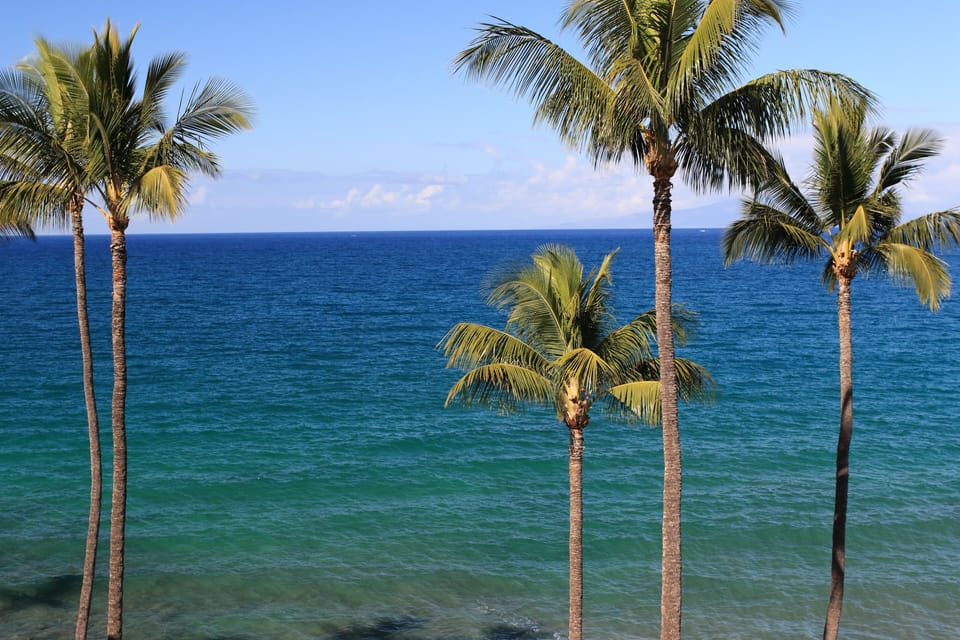 Condo, 2 Bedrooms | Miscellaneous