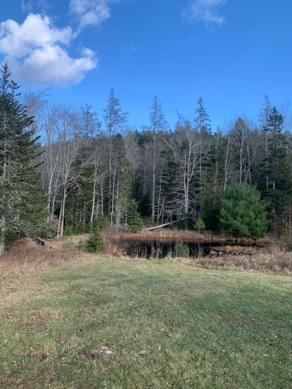 Small marsh on property.