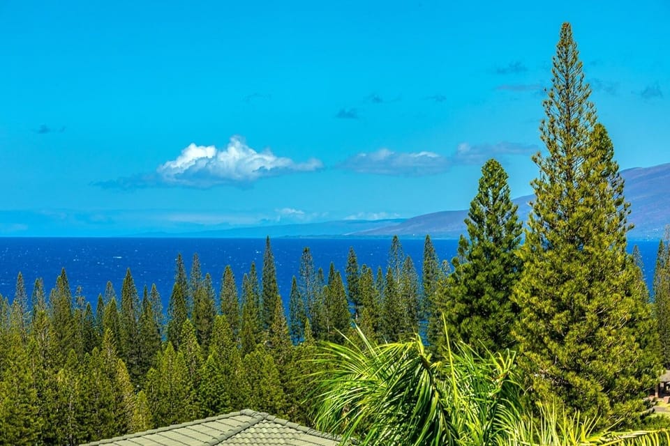 Condo, 1 Bedroom | Miscellaneous