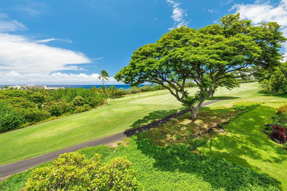 Condo, 1 Bedroom | Golf