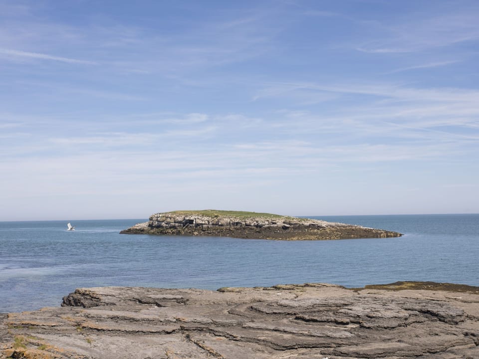 Cottage | Beach | Beach nearby