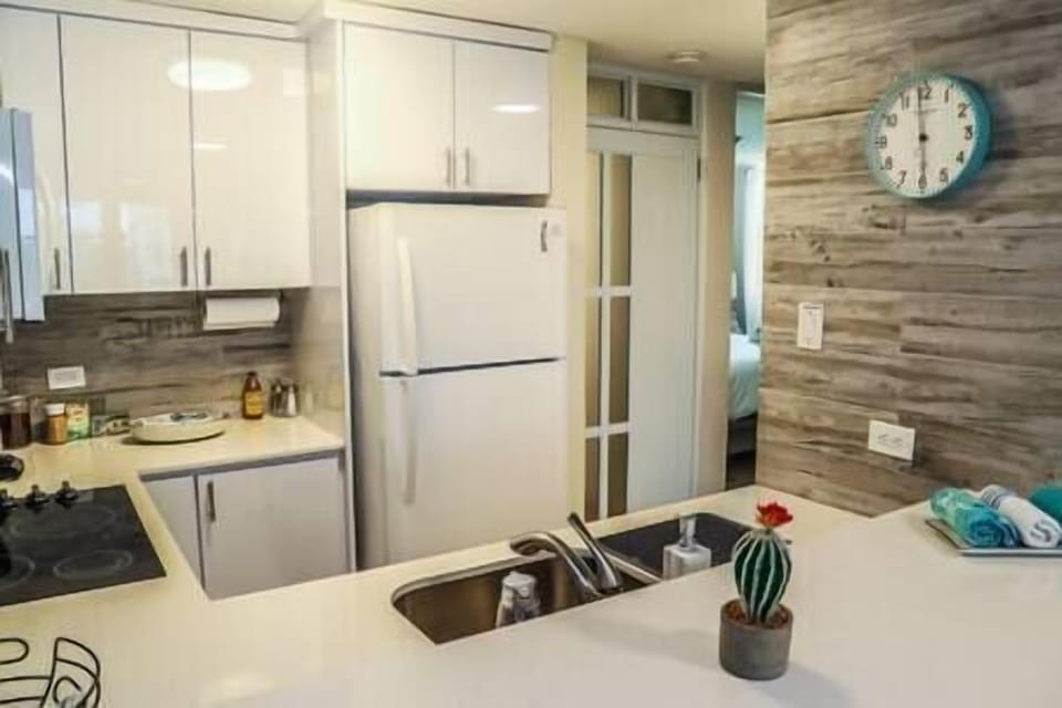 Kitchen + entrance door