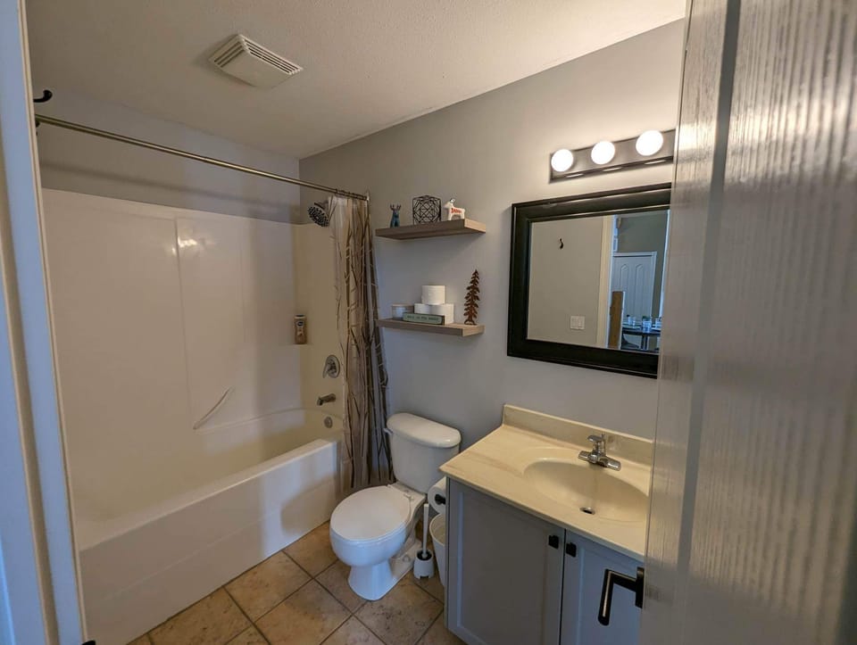 Main bathroom. Well lit with large mirror, tub + excellent pressure shower 