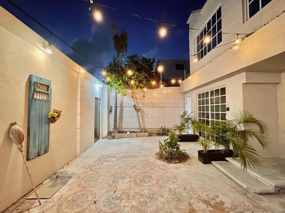Shared courtyard with plants (evening)