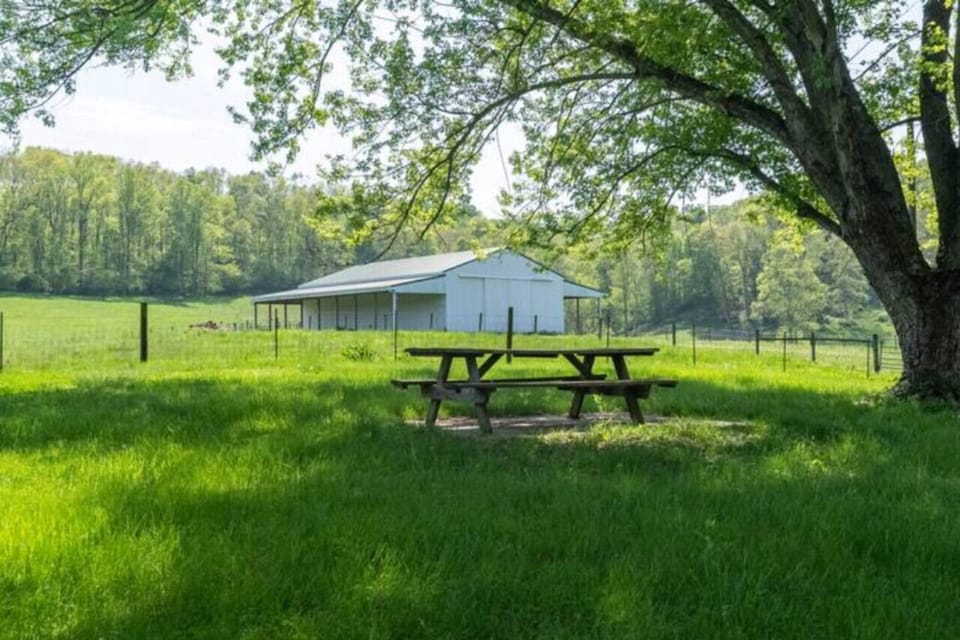Outdoor
