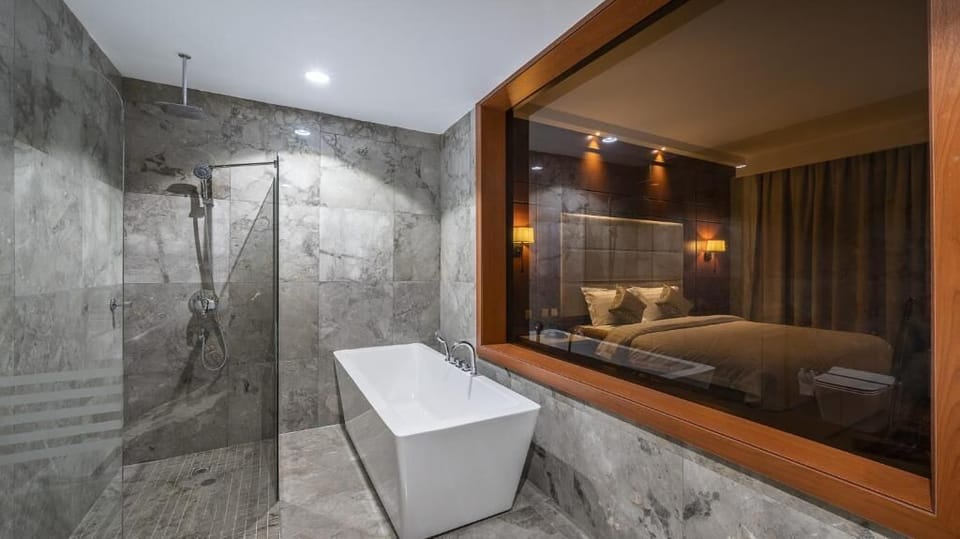 VIP Double Room | Bathroom | Hair dryer, bathrobes, towels