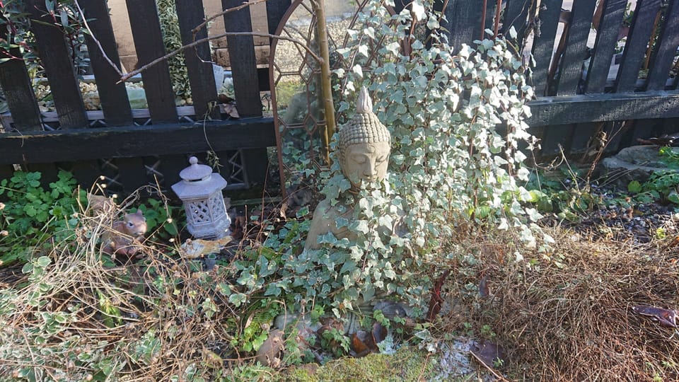Cottage | Property grounds