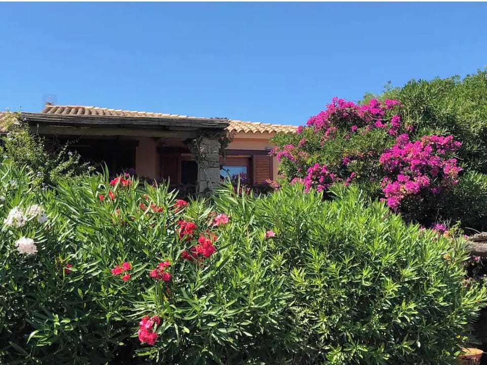 View of house from the street (very well hidden behind the greenery)