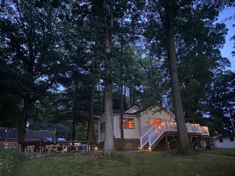 Fairy lights glowing at dusk in the summer.