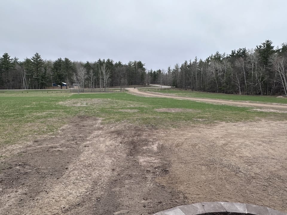 Front of the property facing the road. Tons of room to play and ride a bike