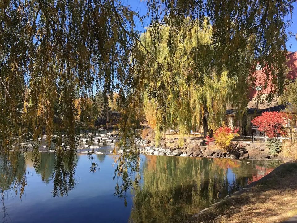 Walk to the river trail (1/2 mile) or downtown Bend via the river trail (1 mile)