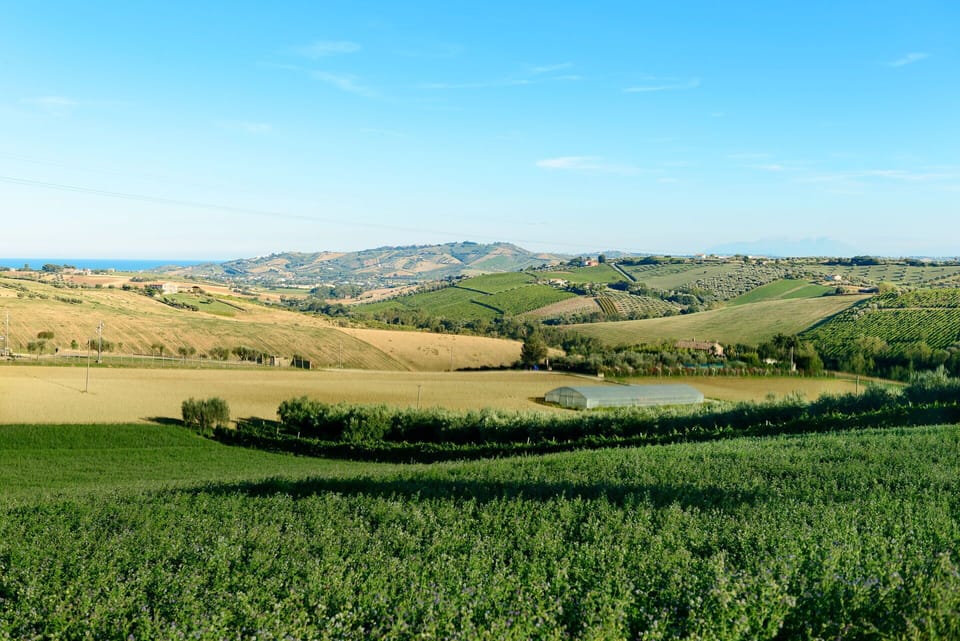 Outdoor, Scenic View